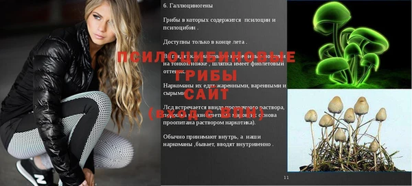 mdpv Магадан