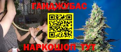 ГАЛЛЮЦИНОГЕННЫЕ ГРИБЫ Донской