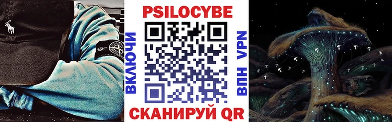 купить закладку  Ярославль  blacksprut ONION  Псилоцибиновые грибы прущие грибы 