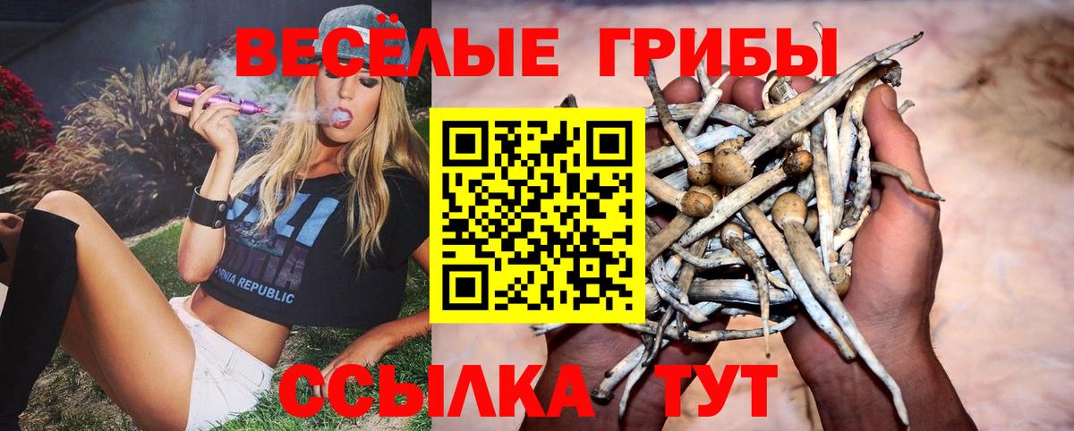 Ярославль  Галлюциногенные грибы Cubensis  Вход с VPN 