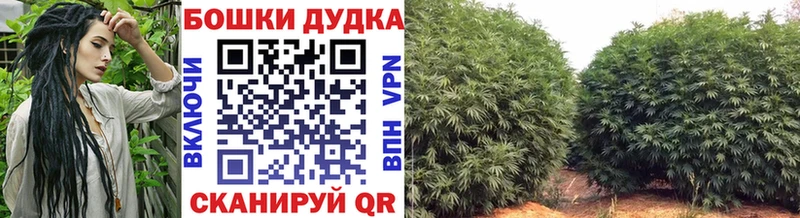 ОМГ ОМГ ONION  Ярославль  Каннабис VHQ 